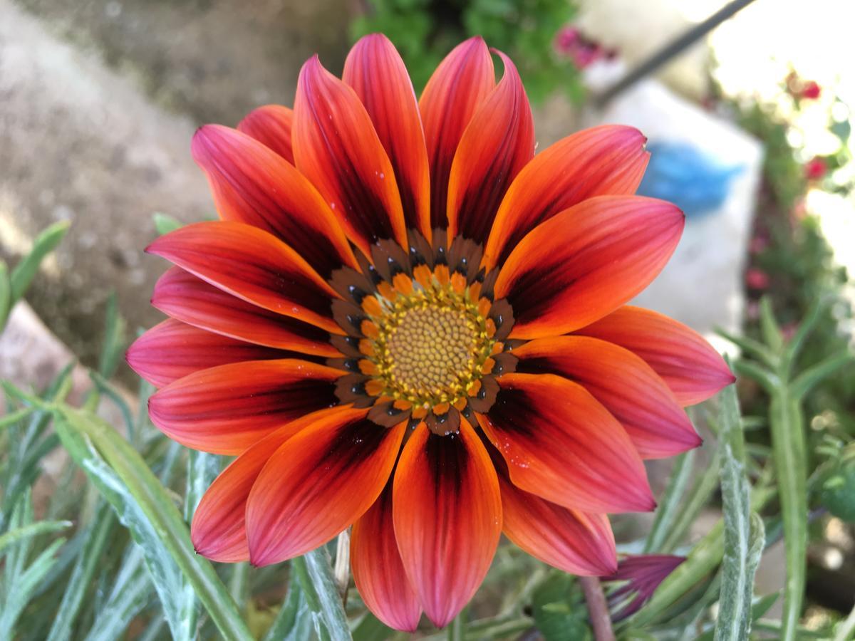 Flower Garden Villa Ksamil Esterno foto