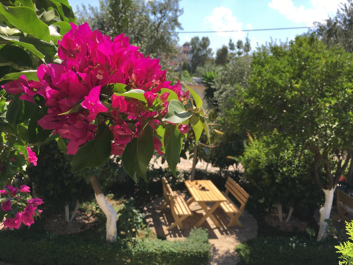 Flower Garden Villa Ksamil Esterno foto